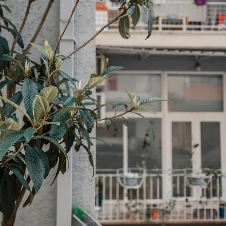 Sun&moon Ohridlake شقة فندقية 3*